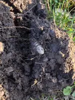 image-3091760946.webp