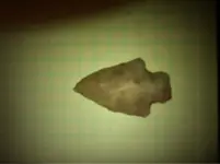 image-173960500.webp