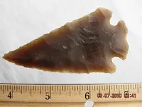 DSCN2962.webp