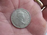 liz (Small).webp