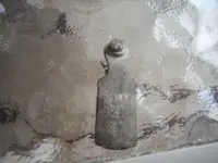 DSCF0295.webp