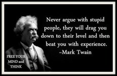 Never-argue-with-stupid-people-they-will-drag-you-down-to-their-level-and-then-beat-you-with-exp.jpg