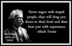 Never-argue-with-stupid-people-they-will-drag-you-down-to-their-level-and-then-beat-you-with-...webp