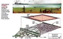 scallop_dredge.webp