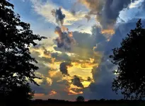 _DSC0005 - Copy (1024x750).webp