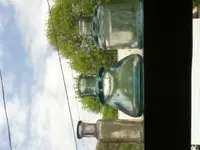 image-3331794639.webp