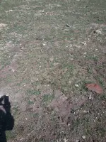 20140418_151816.webp
