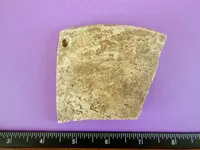 DSCN0810.webp