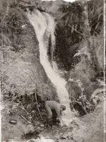 falls1.webp