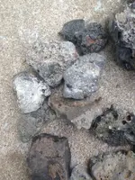 image-2017094866.webp