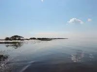 DSCN0274.webp