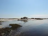 DSCN0275.webp