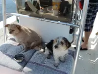 DSCN0279.webp
