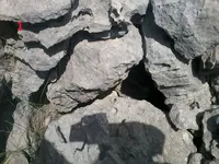Fotoğraf-0102.webp