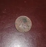 P1010005.webp