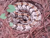 ForumRunner_20140513_172603.webp