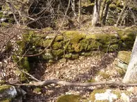 002.webp