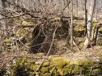 003.webp 003.webp