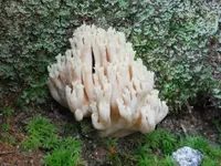 DSCF1024_zpse288daa6.webp