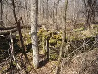 006.webp 006.webp
