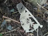 100_3097.webp