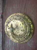 horn button.webp