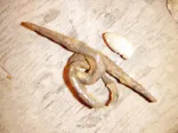 PC300006.webp