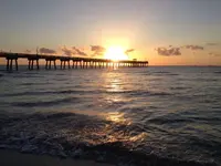 image-3374808766.webp