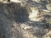 100_3041.webp