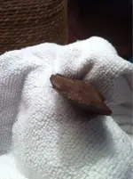 image-3420107805.webp