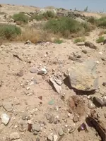 image-499483771.webp