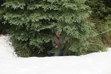 May 24 In Snow.webp