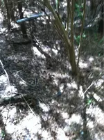 image-3286078361.webp