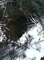 image-1565631361.webp