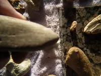 DSCF0624.webp