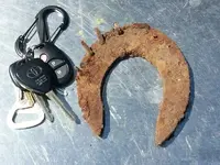 horseshoe.webp
