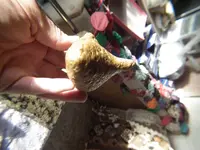 DSCF0650.webp