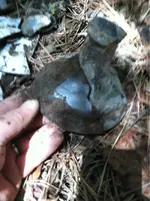 image-1588309282.webp