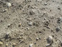 DSCN1444.webp