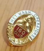 Pin 007.webp