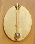 Pin.webp