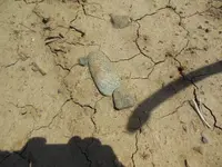 DSCN1445.webp