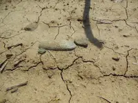 DSCN1446.webp