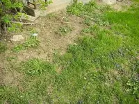 DSCN2263.webp