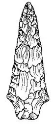 image.webp
