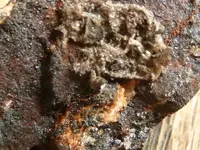 rocks 5-6-14 013.webp