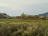 coch 6.webp