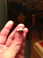 BROKEN TIP VIEW FROM TOP.webp