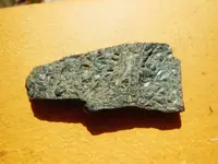 DSCN0186.webp