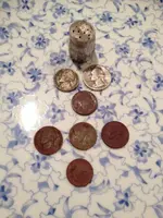 image-210994009.webp